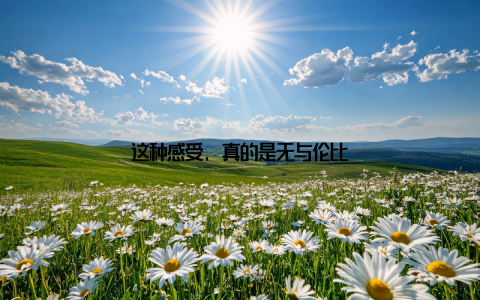 这种感受, 真的是无与伦比