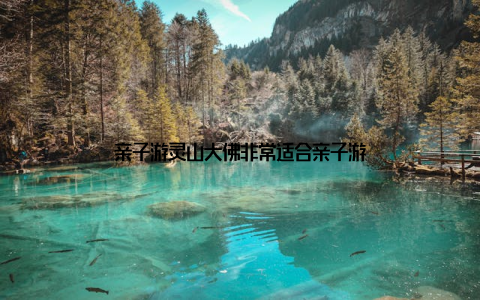 亲子游灵山大佛非常适合亲子游