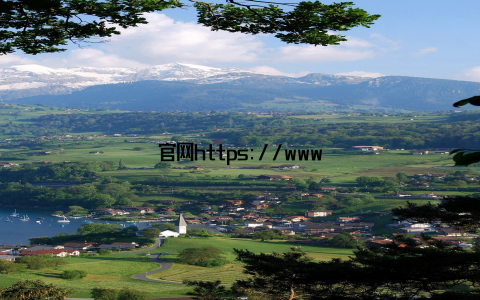 官网https://www