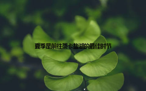 夏季是前往茶卡盐湖的最佳时节