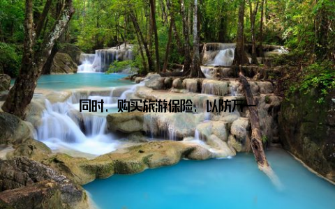同时, 购买旅游保险, 以防万一