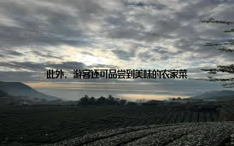 此外, 游客还可品尝到美味的农家菜