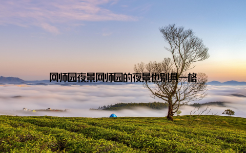 网师园夜景网师园的夜景也别具一格