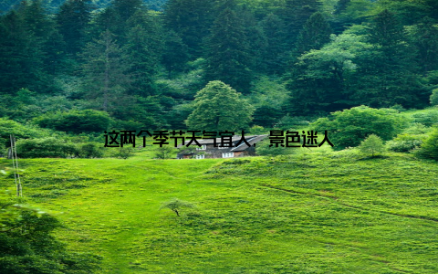 这两个季节天气宜人, 景色迷人