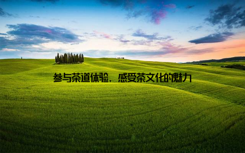 参与茶道体验, 感受茶文化的魅力