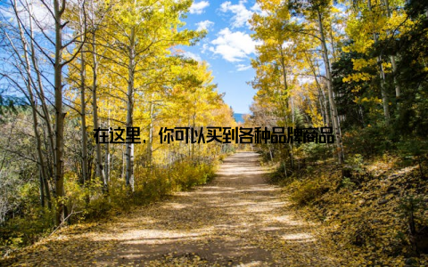 在这里, 你可以买到各种品牌商品