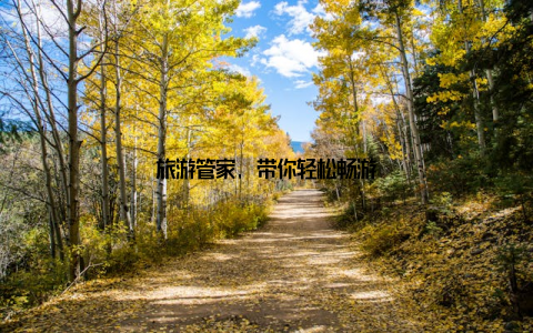 旅游管家, 带你轻松畅游
