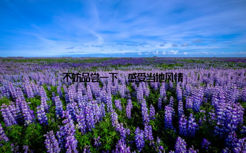 不妨品尝一下, 感受当地风情