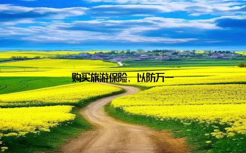 购买旅游保险, 以防万一