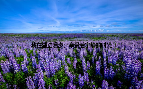 我在湖边漫步, 享受着宁静的时光