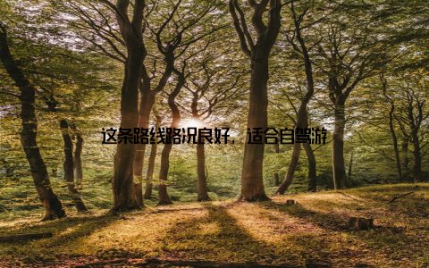 这条路线路况良好, 适合自驾游