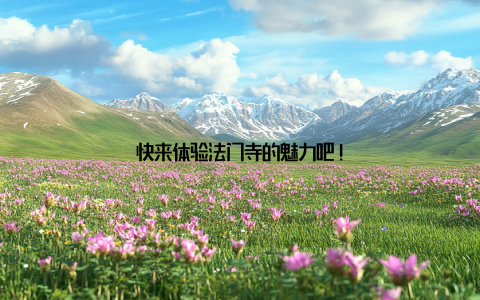 快来体验法门寺的魅力吧!