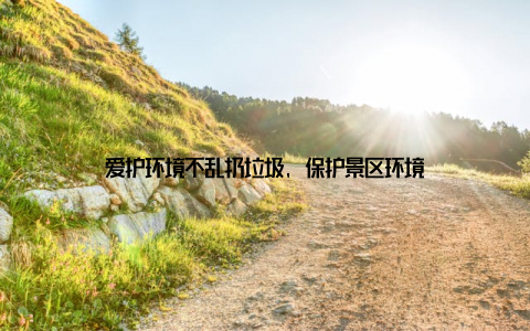 爱护环境不乱扔垃圾, 保护景区环境