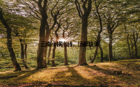云南小锅米线, 汤鲜味美