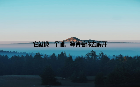 它就像一个谜, 等待着你去解开