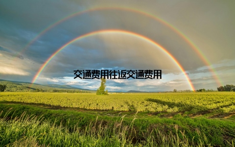 交通费用往返交通费用