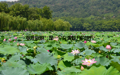 张北旅游, 是一个充满魅力的地方