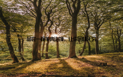 品尝一碗羊肉泡馍, 让你回味无穷