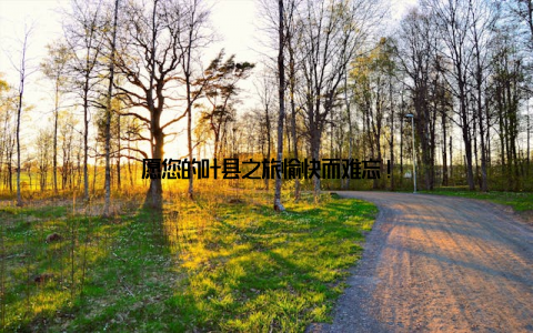 愿您的叶县之旅愉快而难忘!