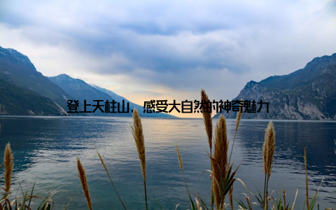 登上天柱山, 感受大自然的神奇魅力