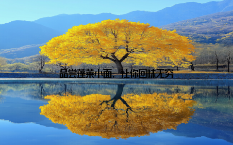 品尝蓬莱小面, 让你回味无穷