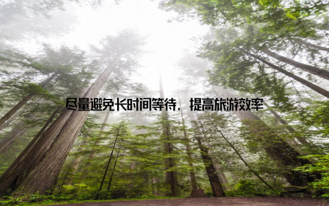 尽量避免长时间等待, 提高旅游效率