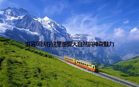 游客可以在这里感受大自然的神奇魅力
