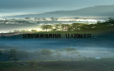这里的美食独具特色, 让人回味无穷