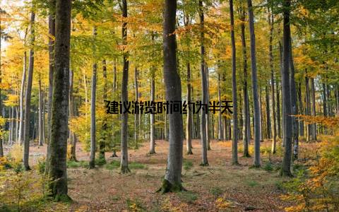 建议游览时间约为半天