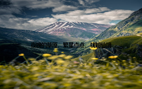夜晚的草原, 繁星点点, 犹如仙境