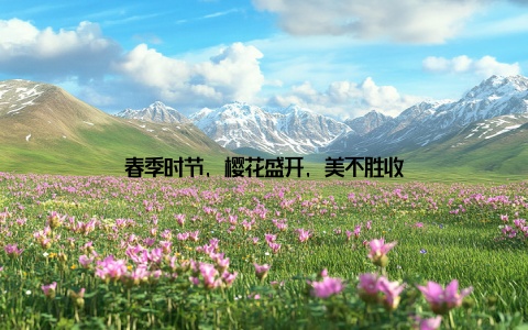 春季时节, 樱花盛开, 美不胜收