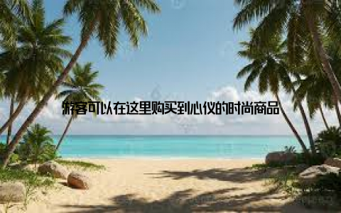 游客可以在这里购买到心仪的时尚商品