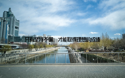 只有坚持不懈, 才能取得理想的成绩