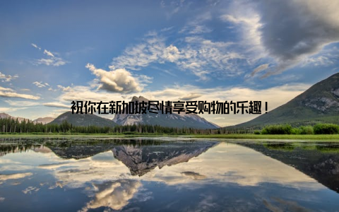 祝你在新加坡尽情享受购物的乐趣!