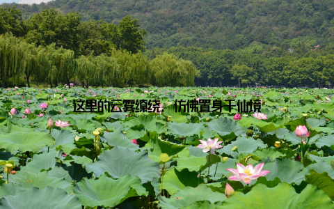 这里的云雾缭绕, 仿佛置身于仙境
