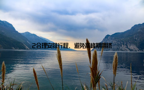 2合理安排行程, 避免高峰期拥挤