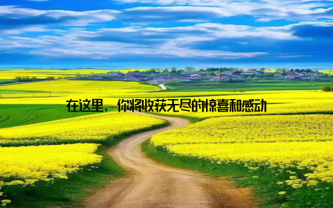 在这里, 你将收获无尽的惊喜和感动