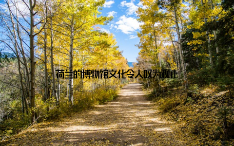 荷兰的博物馆文化令人叹为观止