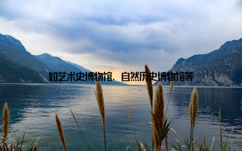 如艺术史博物馆、自然历史博物馆等