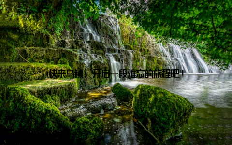 快来乌镇, 开启一段难忘的旅程吧!