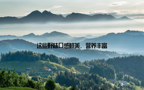 这些野味口感鲜美, 营养丰富