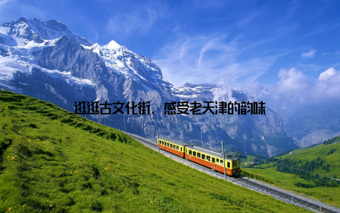 逛逛古文化街, 感受老天津的韵味