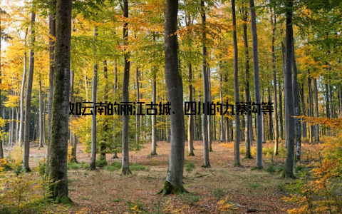 如云南的丽江古城、四川的九寨沟等