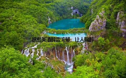 这些美酒醇香浓郁, 让人陶醉