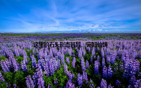 这里的石头形态各异, 宛如仙境