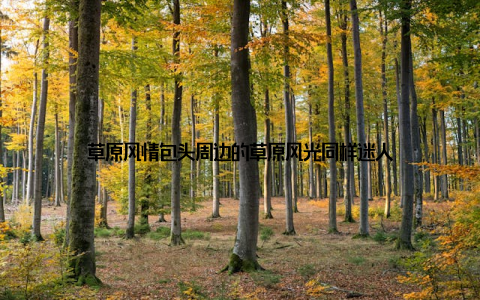 草原风情包头周边的草原风光同样迷人