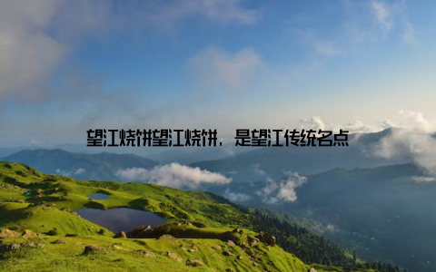 望江烧饼望江烧饼, 是望江传统名点