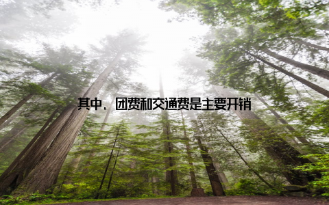 其中, 团费和交通费是主要开销